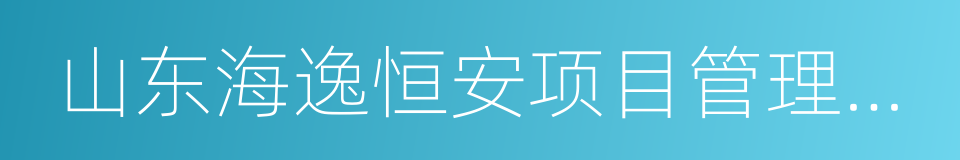 山东海逸恒安项目管理有限公司的同义词