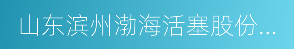 山东滨州渤海活塞股份有限公司的同义词