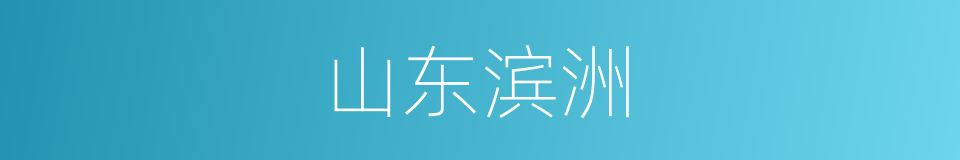 山东滨洲的同义词