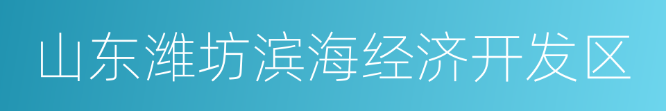 山东潍坊滨海经济开发区的同义词
