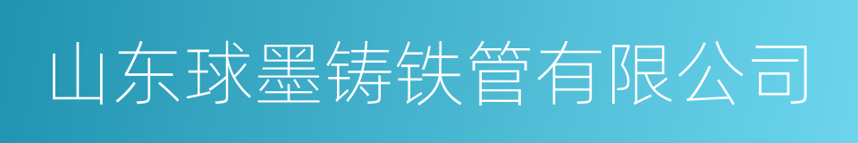 山东球墨铸铁管有限公司的同义词