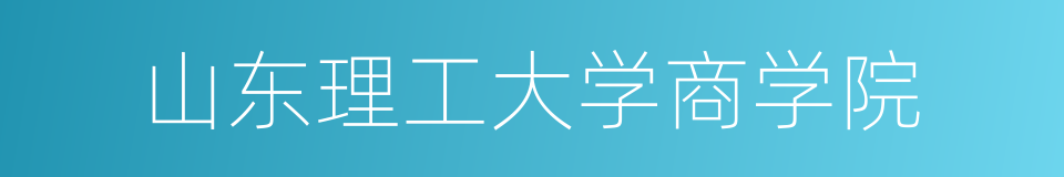 山东理工大学商学院的同义词