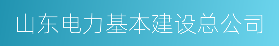 山东电力基本建设总公司的同义词