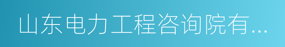 山东电力工程咨询院有限公司的同义词