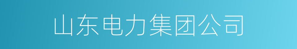 山东电力集团公司的同义词