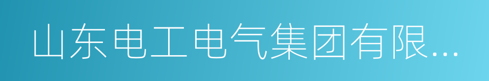 山东电工电气集团有限公司的同义词