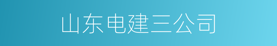 山东电建三公司的同义词