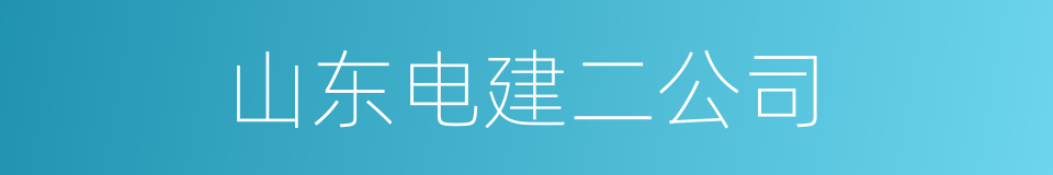 山东电建二公司的同义词