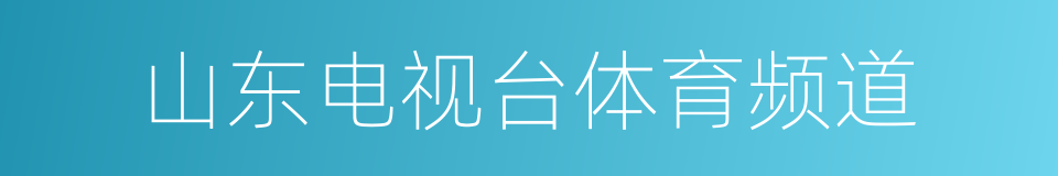 山东电视台体育频道的同义词