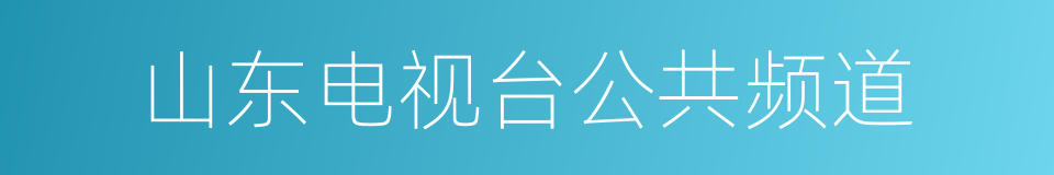 山东电视台公共频道的同义词