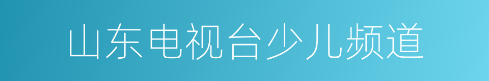 山东电视台少儿频道的同义词