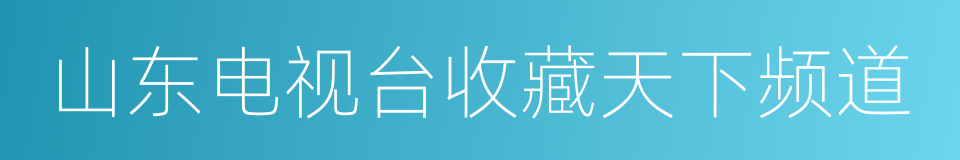 山东电视台收藏天下频道的同义词