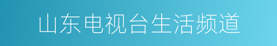 山东电视台生活频道的同义词