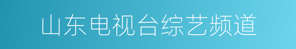 山东电视台综艺频道的同义词