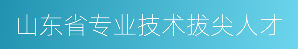 山东省专业技术拔尖人才的同义词