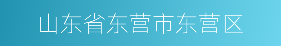 山东省东营市东营区的同义词