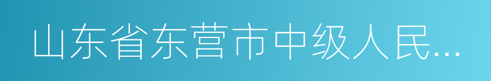 山东省东营市中级人民法院的同义词