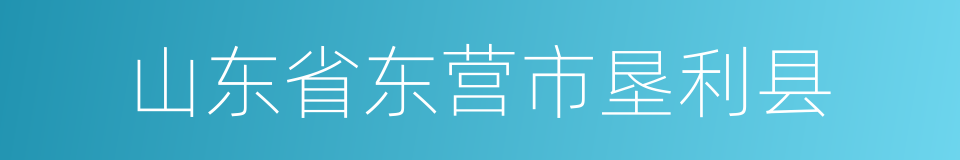 山东省东营市垦利县的同义词