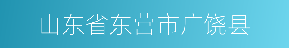 山东省东营市广饶县的同义词