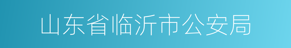 山东省临沂市公安局的同义词