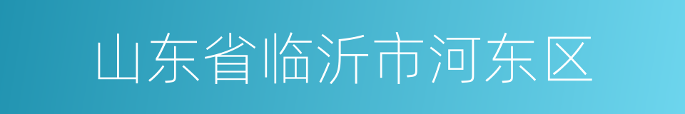 山东省临沂市河东区的同义词