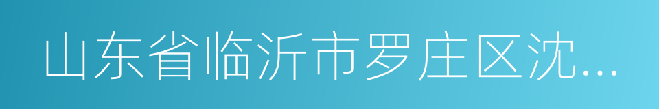 山东省临沂市罗庄区沈泉庄村的同义词