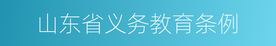 山东省义务教育条例的同义词