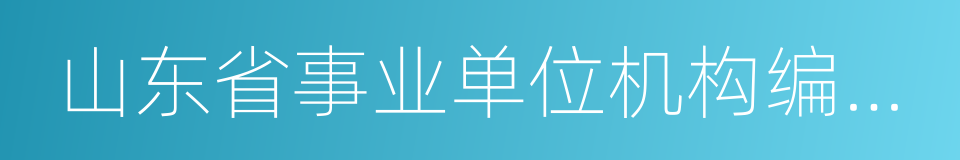 山东省事业单位机构编制管理规定的同义词