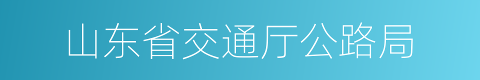 山东省交通厅公路局的同义词