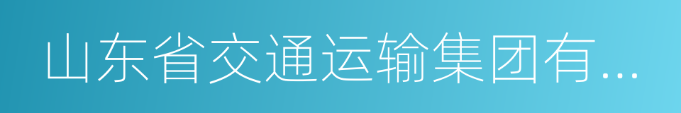 山东省交通运输集团有限公司的同义词