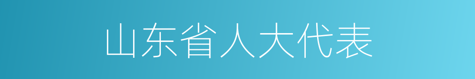 山东省人大代表的同义词