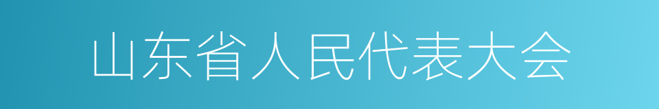 山东省人民代表大会的同义词