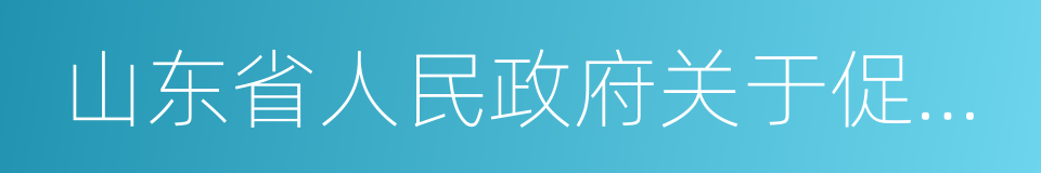 山东省人民政府关于促进大数据发展的意见的同义词