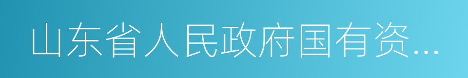 山东省人民政府国有资产监督管理委员会的同义词