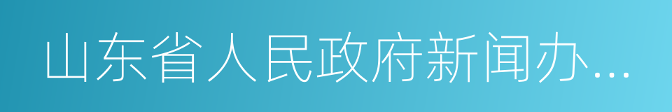 山东省人民政府新闻办公室的同义词