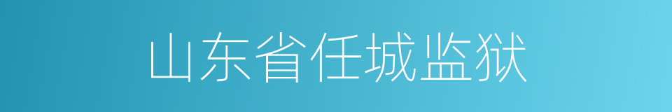 山东省任城监狱的同义词