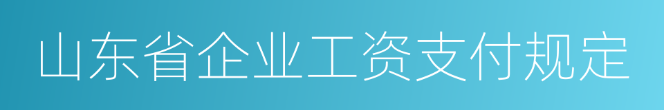 山东省企业工资支付规定的同义词