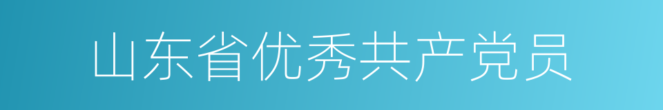 山东省优秀共产党员的同义词