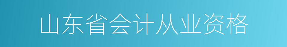 山东省会计从业资格的同义词