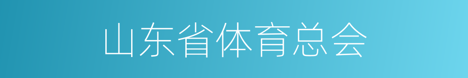 山东省体育总会的同义词