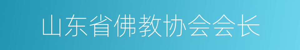 山东省佛教协会会长的同义词