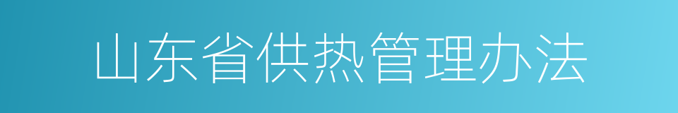 山东省供热管理办法的同义词