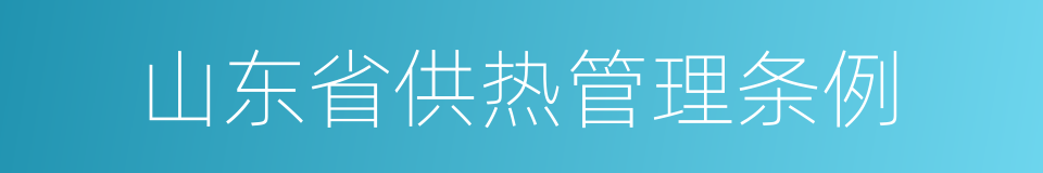 山东省供热管理条例的同义词