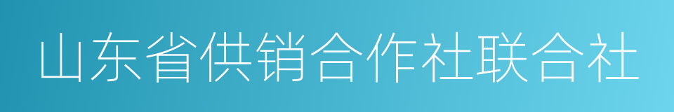 山东省供销合作社联合社的同义词