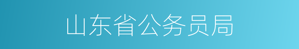 山东省公务员局的同义词