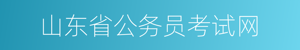 山东省公务员考试网的同义词