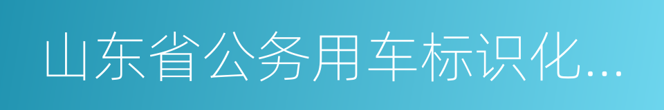 山东省公务用车标识化管理实施方案的同义词