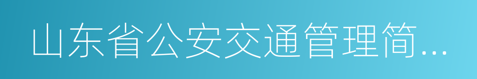 山东省公安交通管理简易程序处罚决定书的同义词