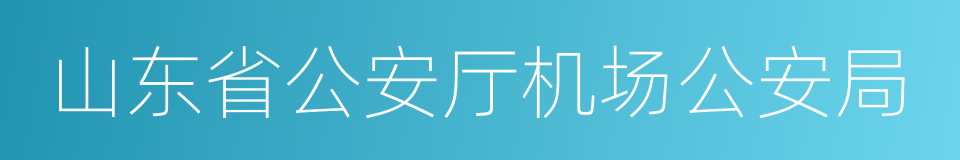 山东省公安厅机场公安局的同义词