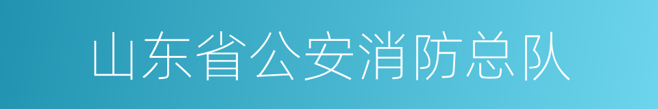 山东省公安消防总队的同义词